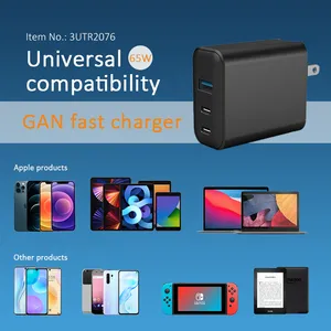 GaNFast PD 65W  Travel Charger